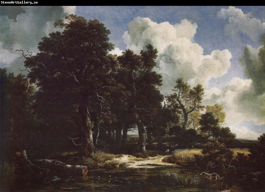 Jacob van Ruisdael Edge of a Forest with a grainfield